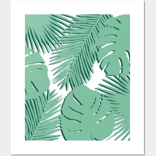 Tropical, Palm Leaves, Monstera Leaves on White Posters and Art